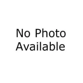 015451193393 CHICAGO PNEUMATIC Valve Throttle