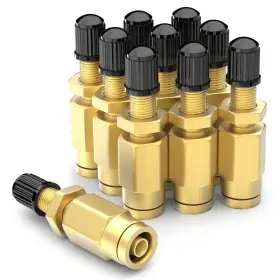 Gasher B0b9rtchq3 10pcs 1/4 Brass Inflation Schrader Valve Dot Approved Push Connection