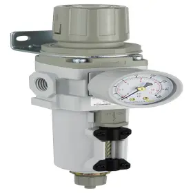 Pneumaticplus B01jncs944 Saw300-n03bg-mep Compressed Air Filter Regulator Piggyback Combo