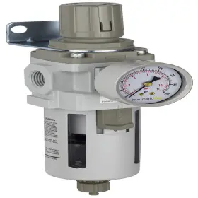 Pneumaticplus B01n0gwkg9 Saw400-n04bg Compressed Air Filter Regulator Piggyback Combo 1/2