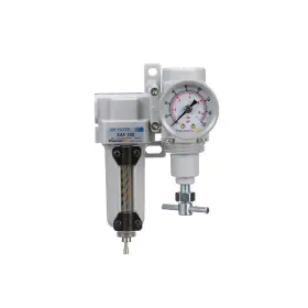 Pneumaticplus B07t6fm16r Sau220t-n02g-mep Mini Compressed Air Filter Regulator Combo 1/4