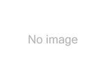 Astro Pneumatic 78210-16 Handle (7821016). Fixed Price $13.14.